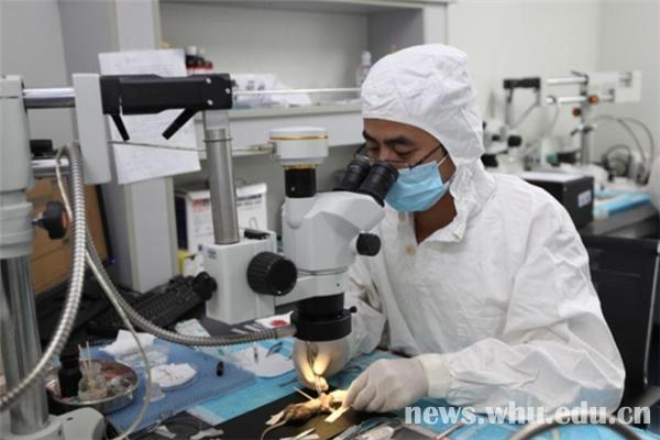 1494492018686307.jpg 1494492018686307.jpg