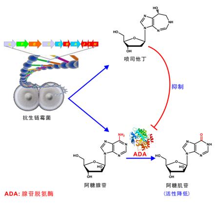 1494489173527419.png 10.png