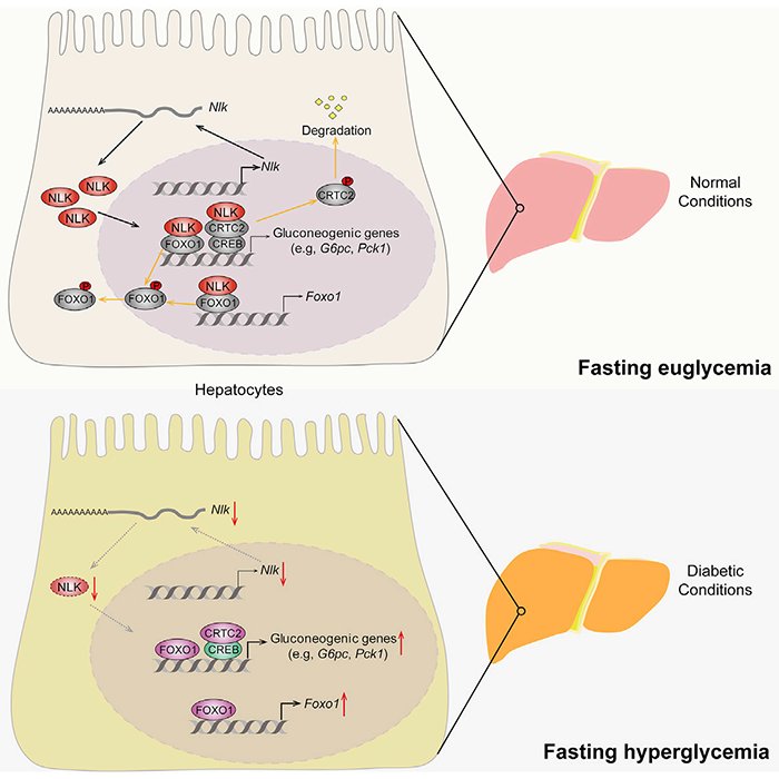 1620181765942087801.png 图片2.png